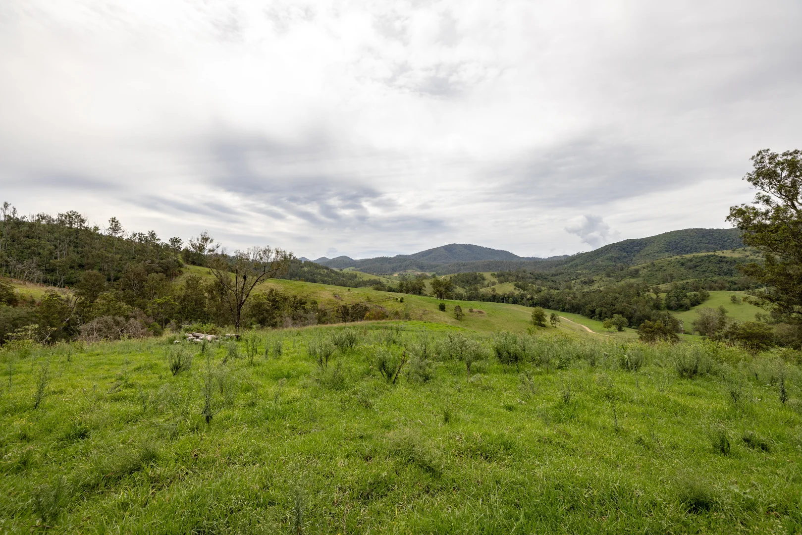 Additional image 18 of 141 Khatambuhl Creek Road, Mount George NSW 2424