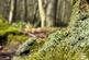 Additional image 7 of Needlewood Grove, Redditch, Worcestershire B48