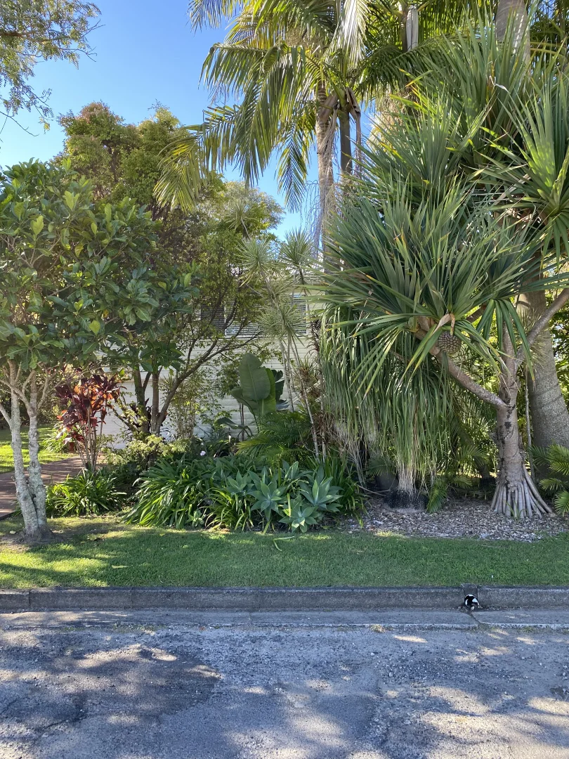 Additional image 19 of 5 Hogues Lane, Maclean NSW 2463