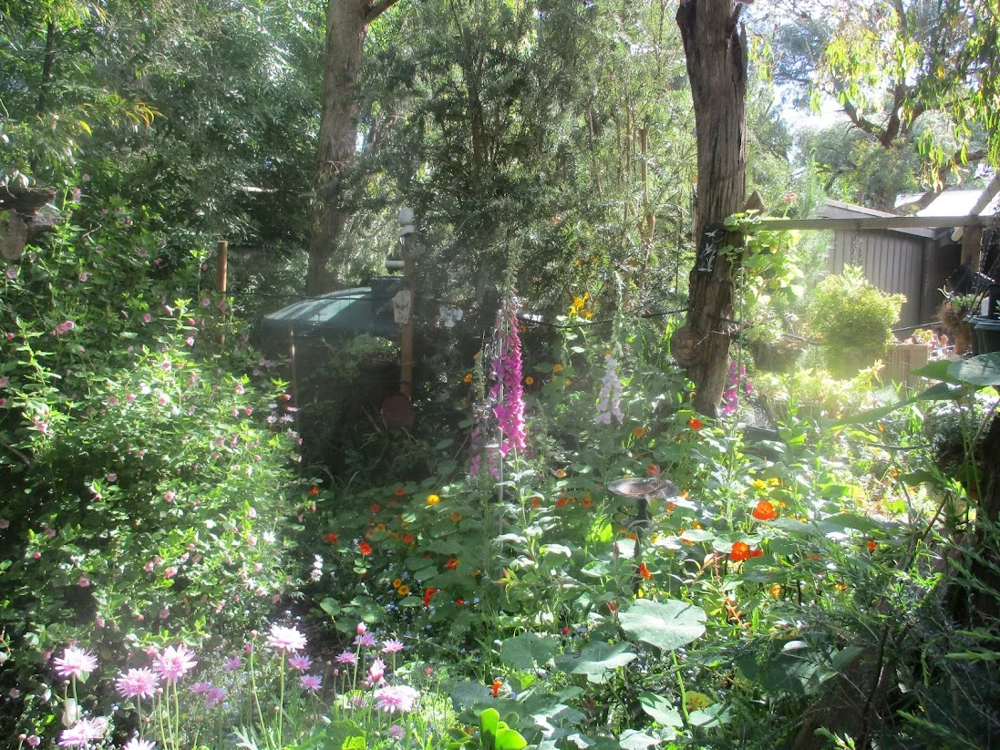 Additional image 24 of 31 Bayview Avenue, Tenby Point VIC 3984