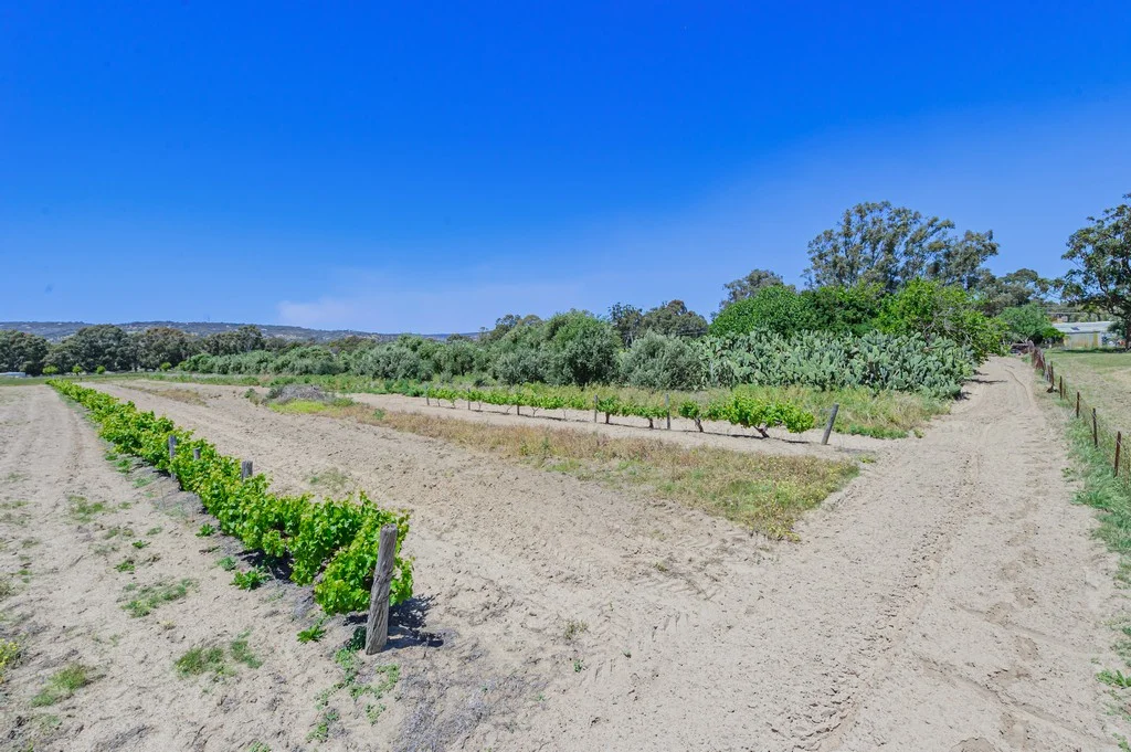 Additional image 16 of 115 Haddrill Road, Baskerville WA 6056