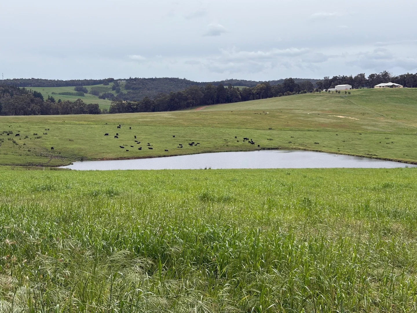 Additional image 14 of Lot 72 Beelerup Road, Beelerup WA 6239