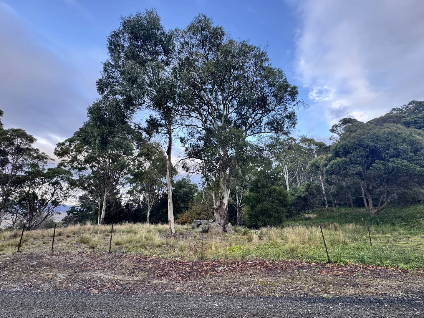 Additional image 9 of 14 Crosby Street, Cornwall TAS 7215