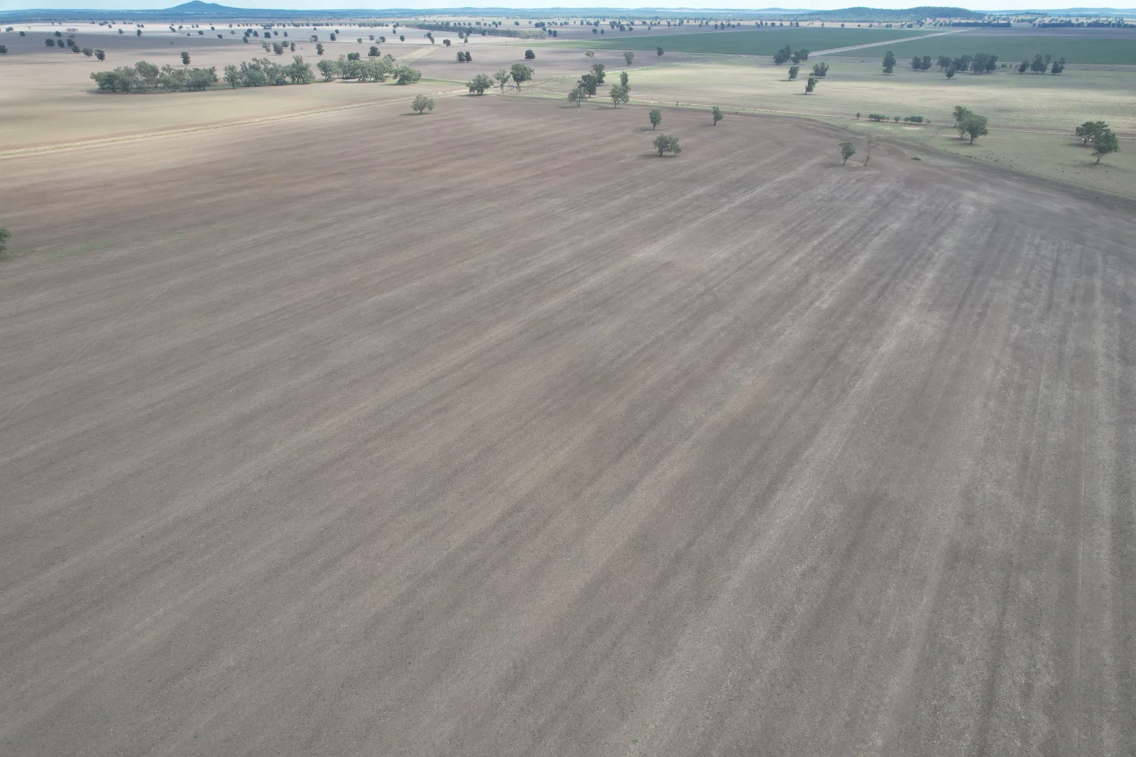 Additional image 17 of Forbes NSW 2871