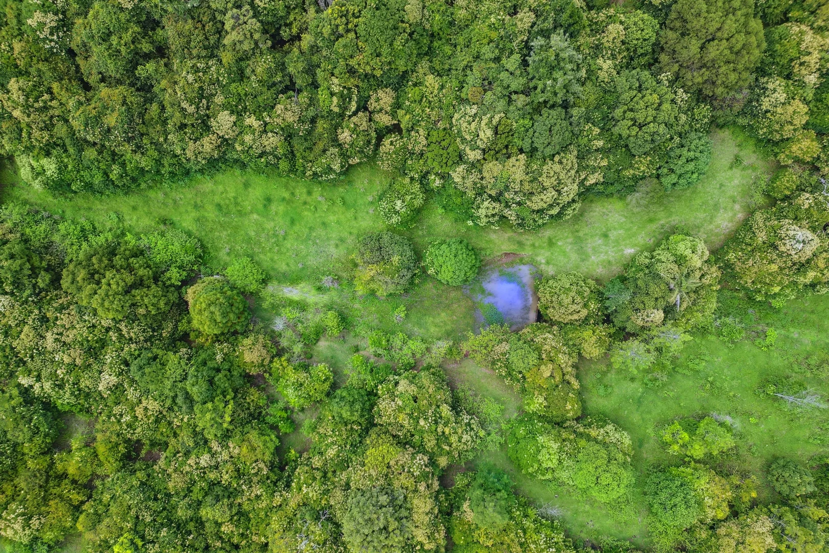 Additional image 33 of 616 South West Road, Beechmont QLD 4211