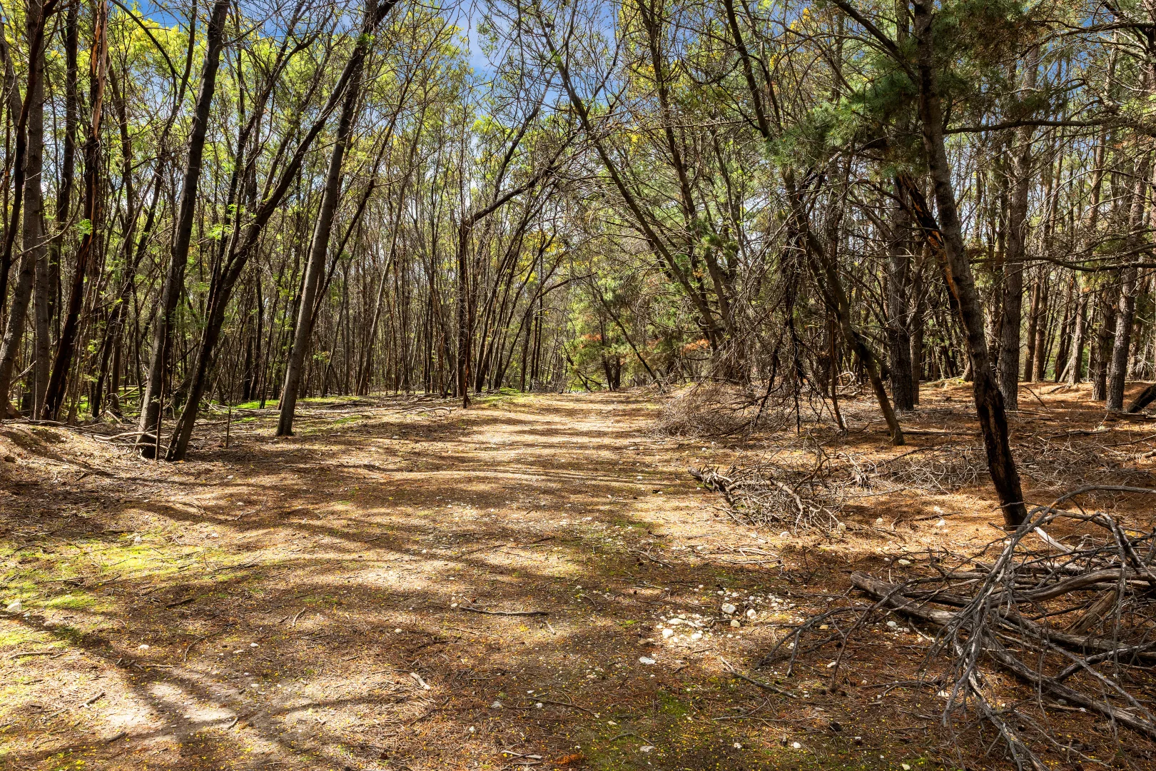 Additional image 5 of Creswick VIC 3363