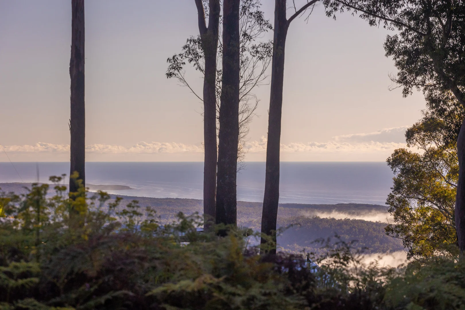 Additional image 19 of 8 Old Coach Road, Termeil NSW 2539