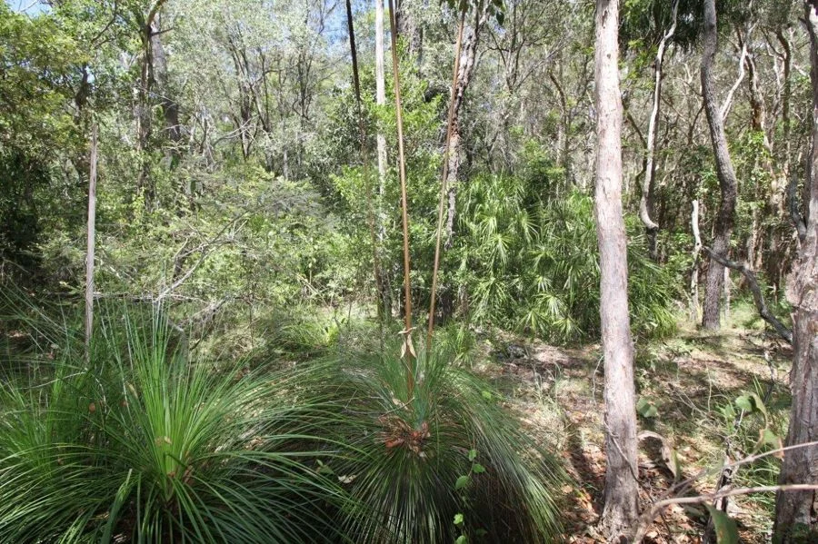 Additional image 11 of 9 Coe Road, Deepwater QLD 4674