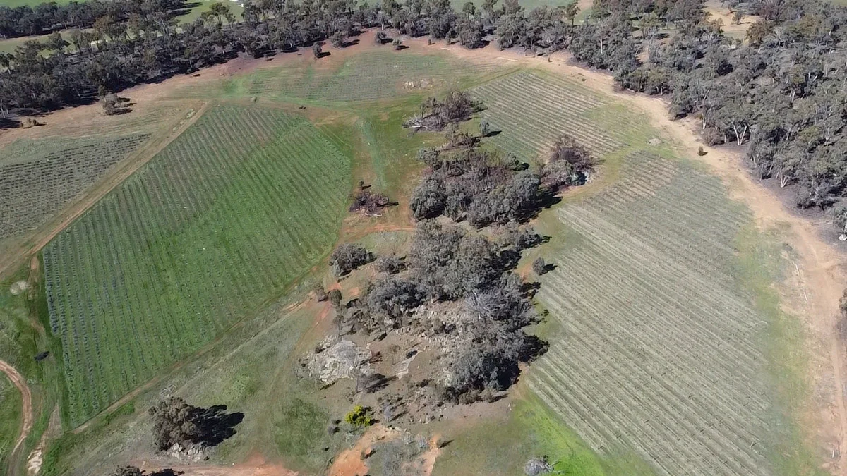 Additional image 7 of 586 Wandering-Pingelly Road, Wandering WA 6308