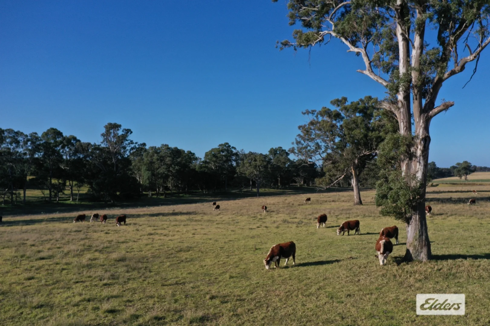 Additional image 3 of 322 Stockdale - Fernbank Road, Stockdale VIC 3862