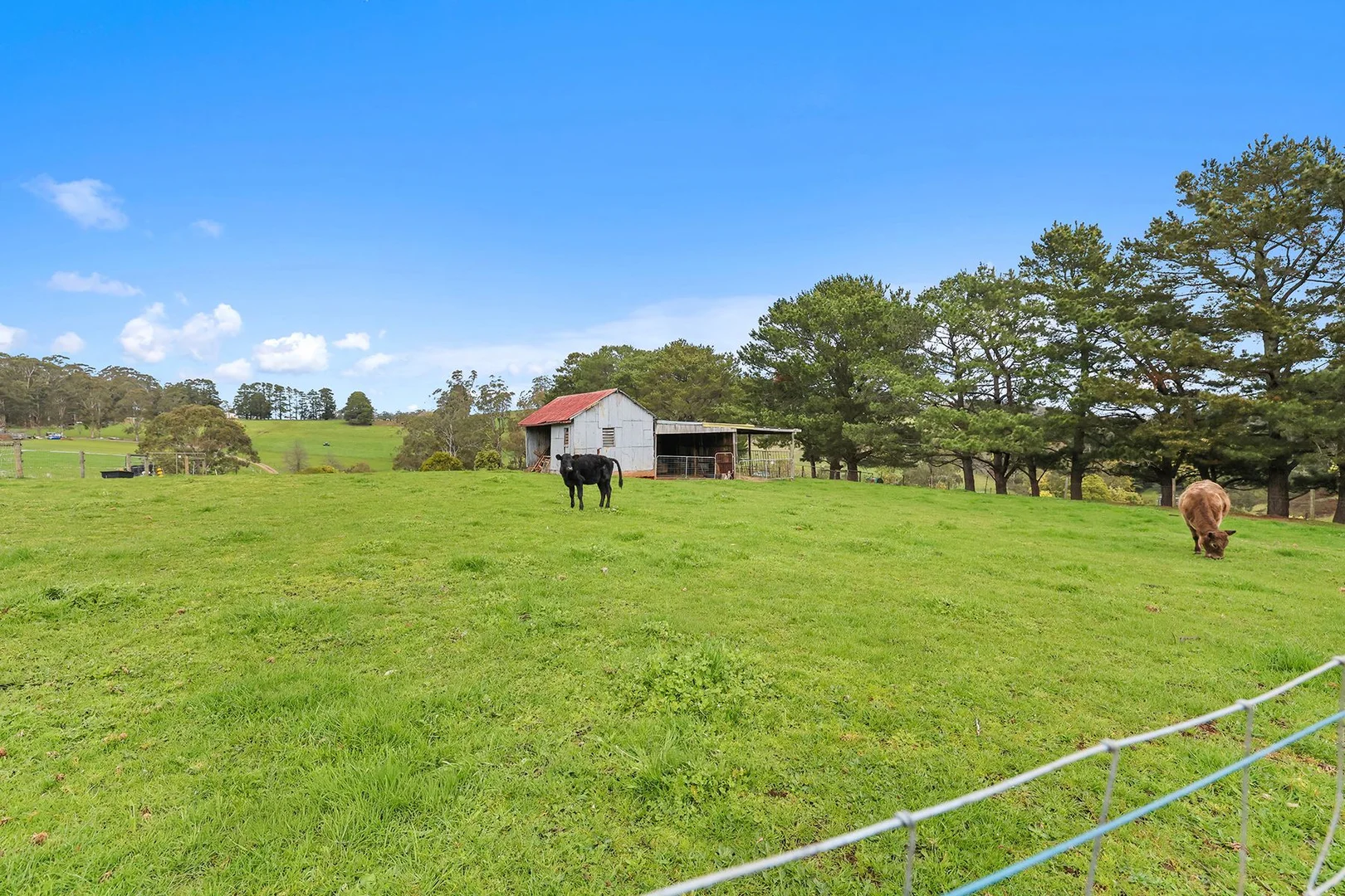 Additional image 16 of 2675 Willow Grove Road, Hill End VIC 3825