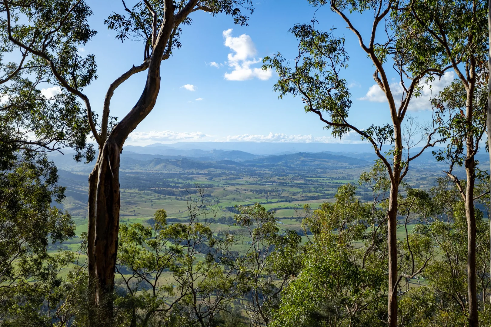Additional image 15 of 706 MOONABUNG ROAD, Vacy NSW 2421
