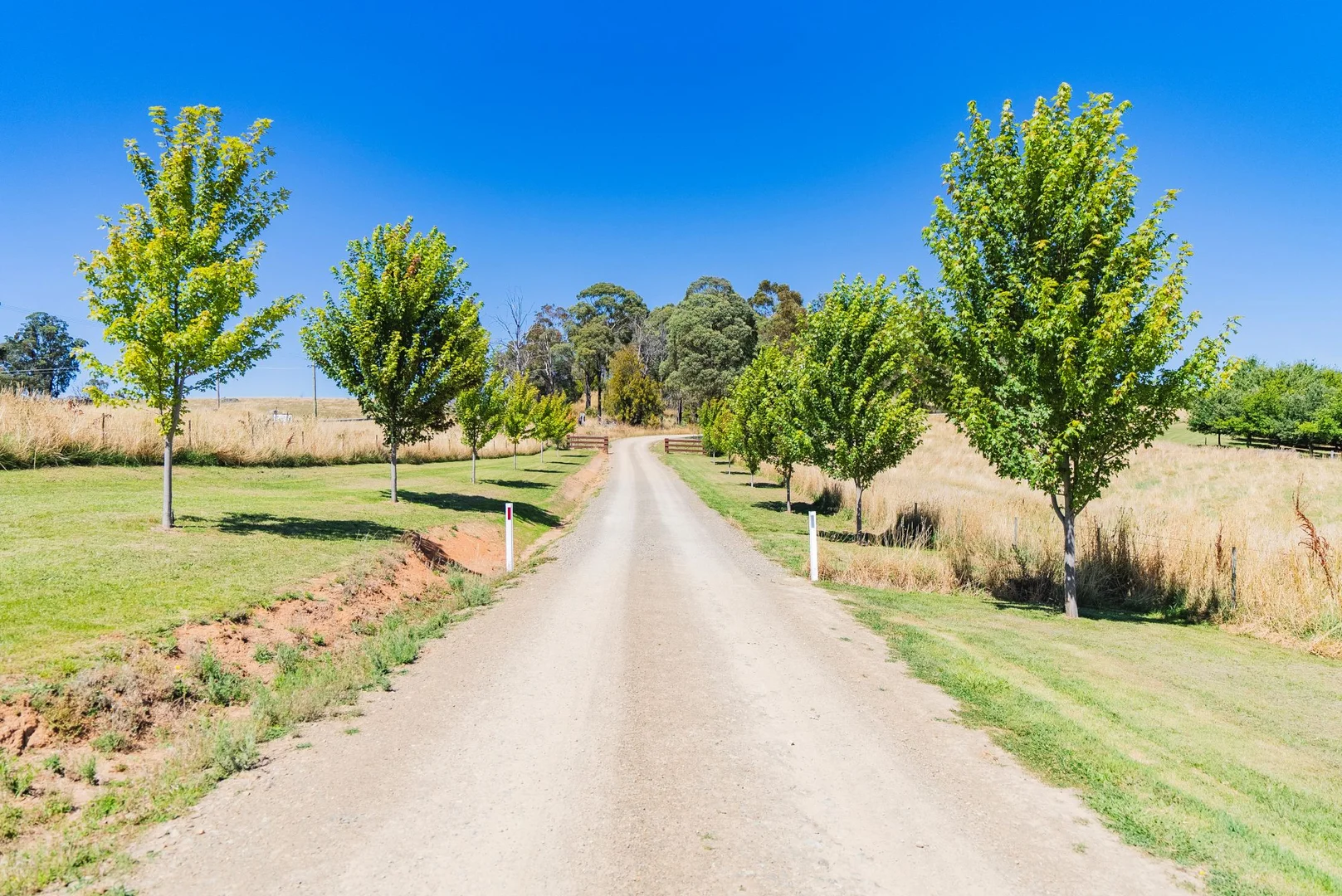 Additional image 5 of 1 Willigobung Road, Tumbarumba NSW 2653