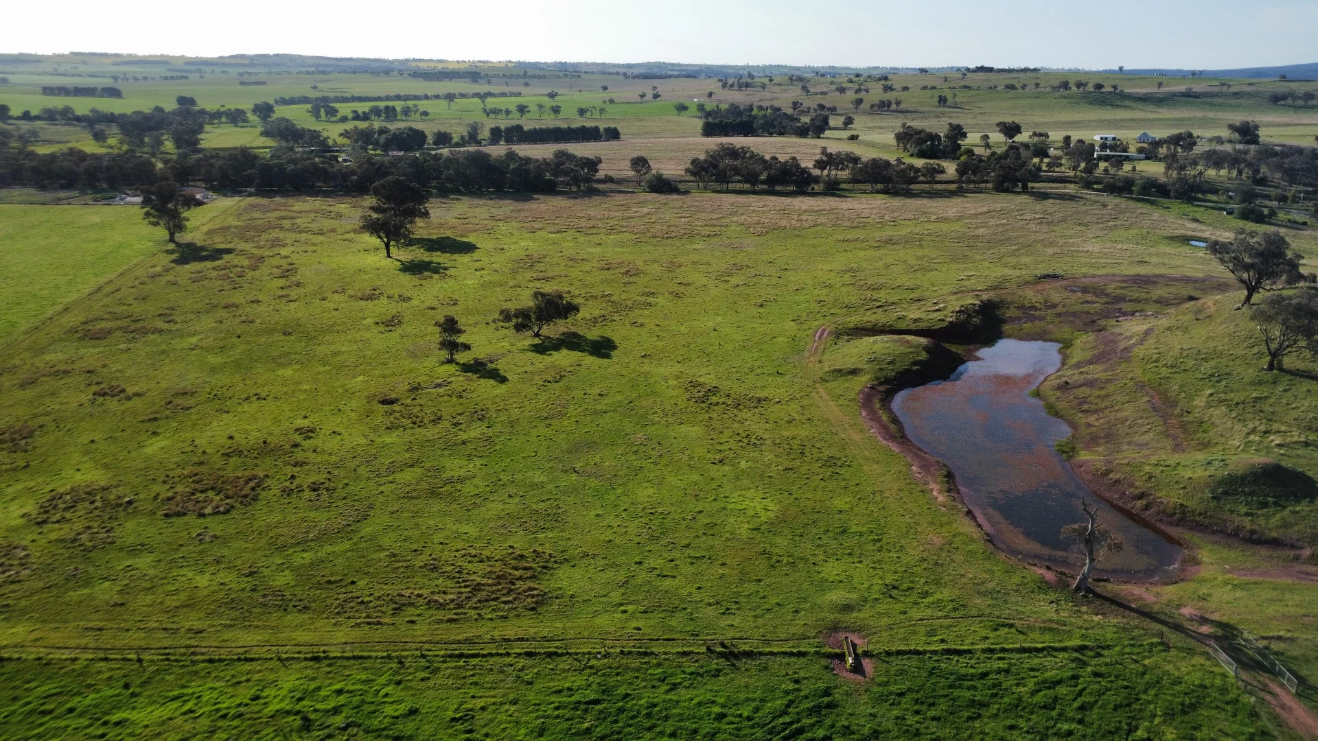 Additional image 27 of Young NSW 2594