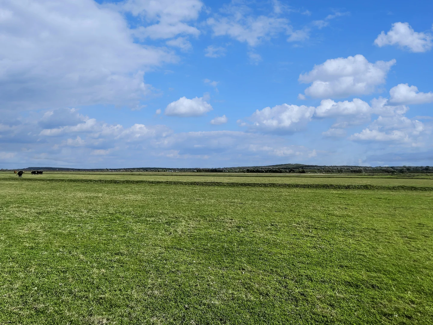 Additional image 4 of 12 Fowler Road, Beelbangera NSW 2680