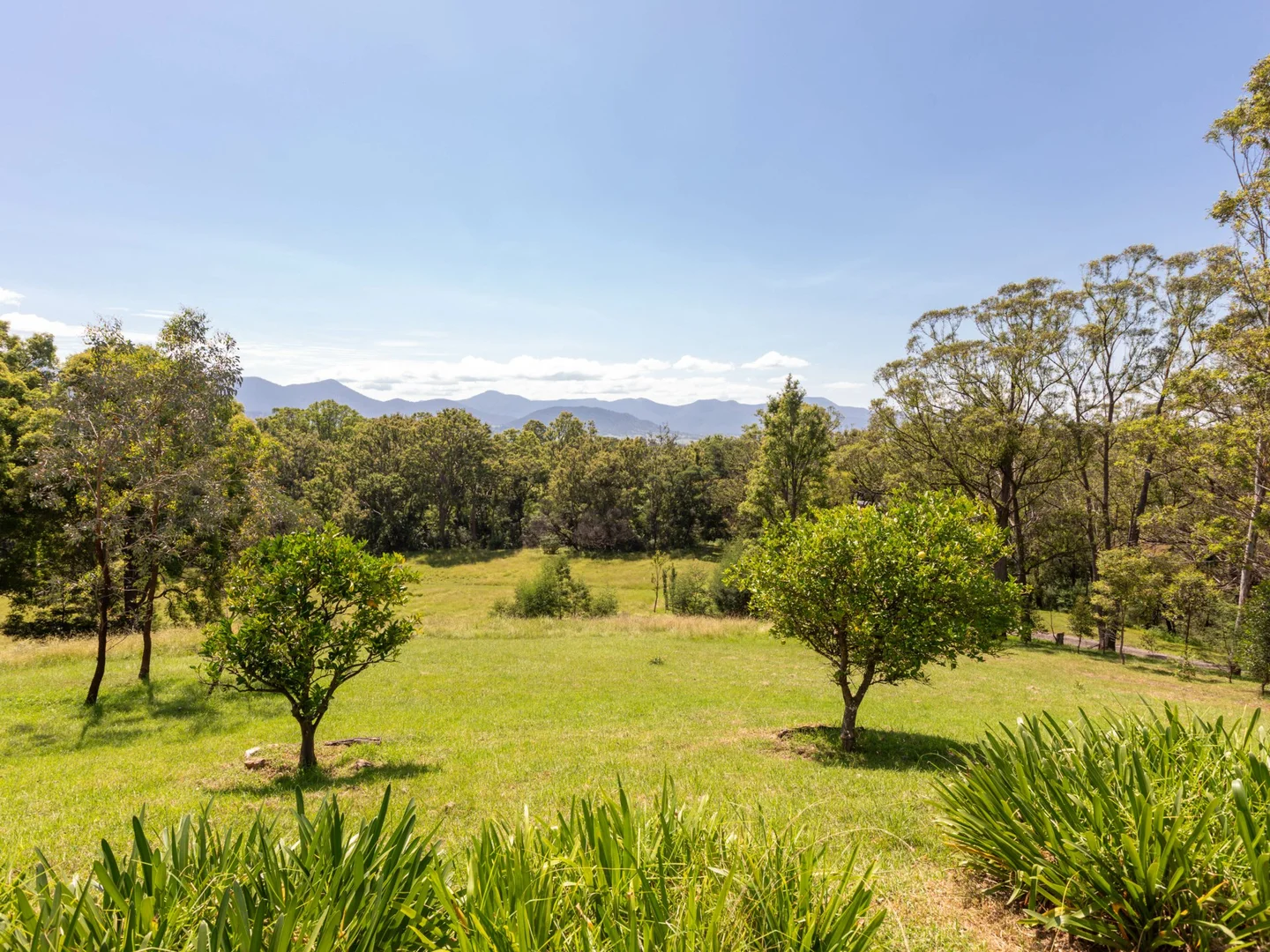 Additional image 32 of 52 Buckleys Ridge Road, Bemboka NSW 2550