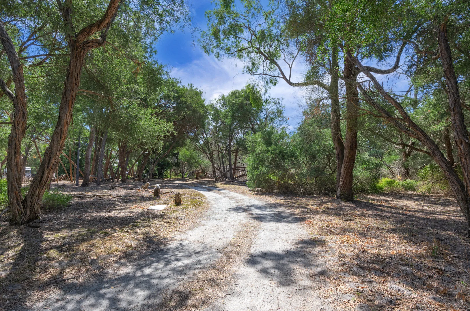 Additional image 19 of 14 Lumeah Road, Somerville VIC 3912