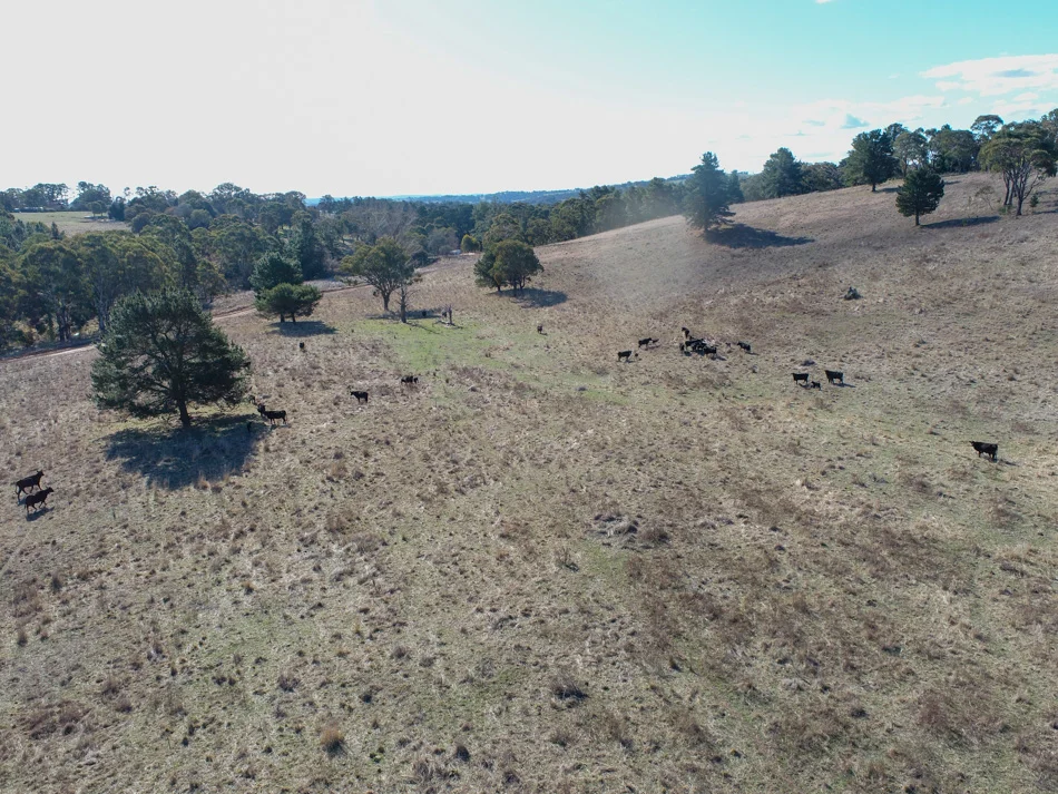 Additional image 2 of 1173 Cargo Road, Lidster NSW 2800