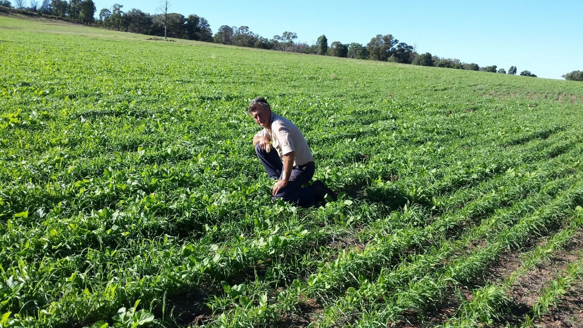 Additional image 8 of 325 Toorawandi Road, Ulamambri NSW 2357