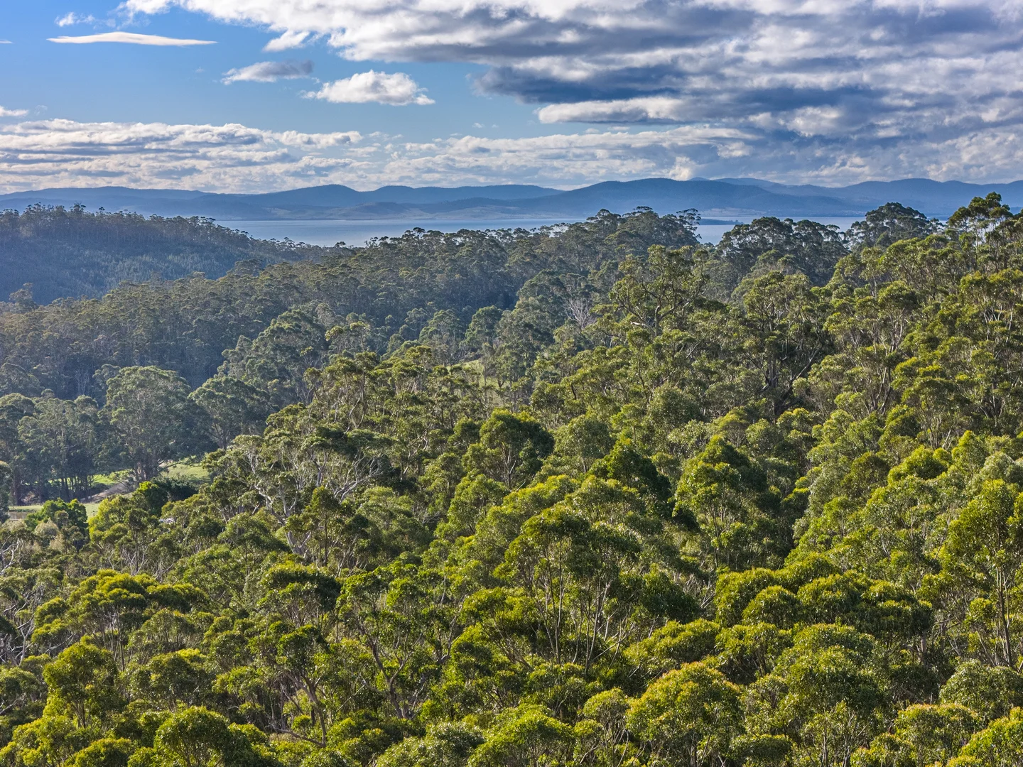 Additional image 17 of Lot 4 Tip Road, Nubeena TAS 7184