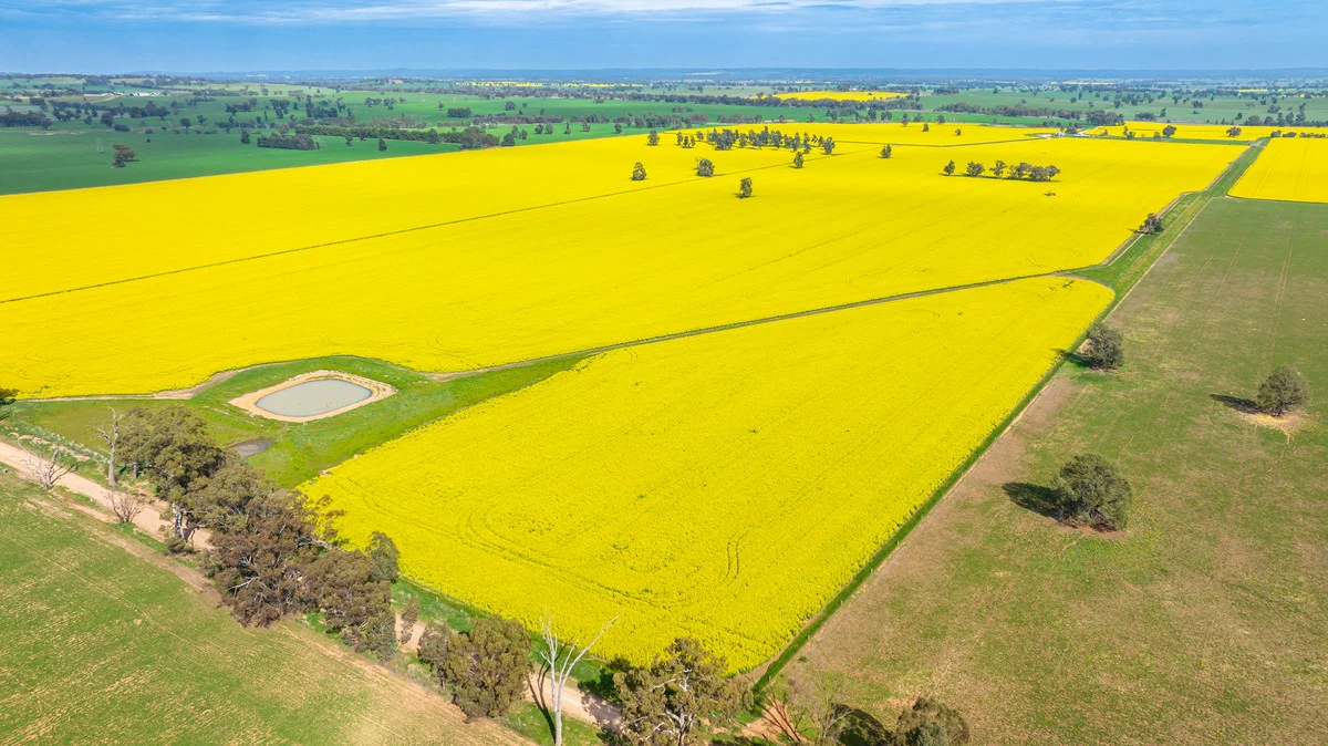 Additional image 2 of Olympic Highway, Yerong Creek NSW 2642