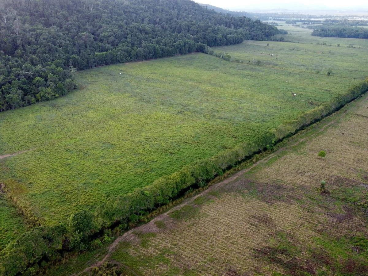 Additional image 19 of 000 Poppi Road, Cowley QLD 4871