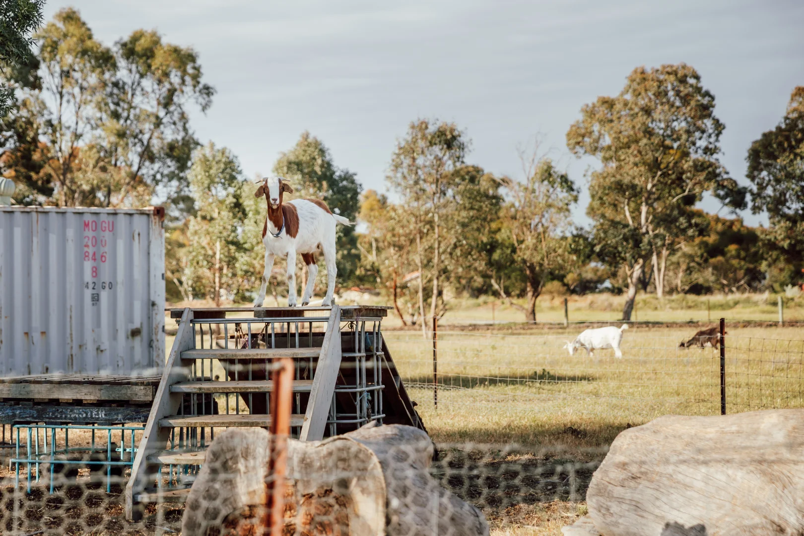 Additional image 26 of 115 Farrars Road, Lara VIC 3212