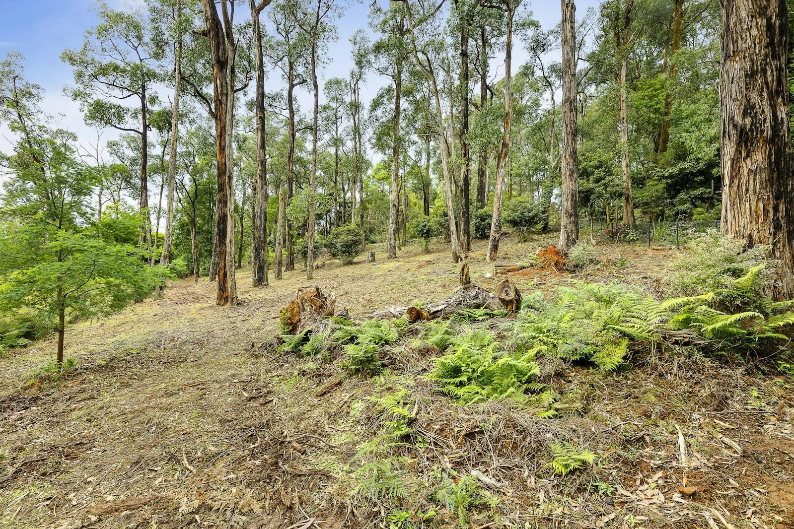 Additional image 5 of 52A View Hill Road, Cockatoo VIC 3781