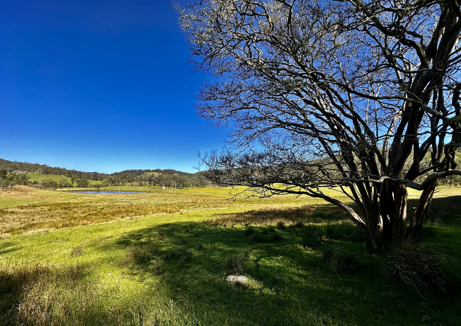 Additional image 11 of 3300 Great North Road, Wollombi NSW 2325