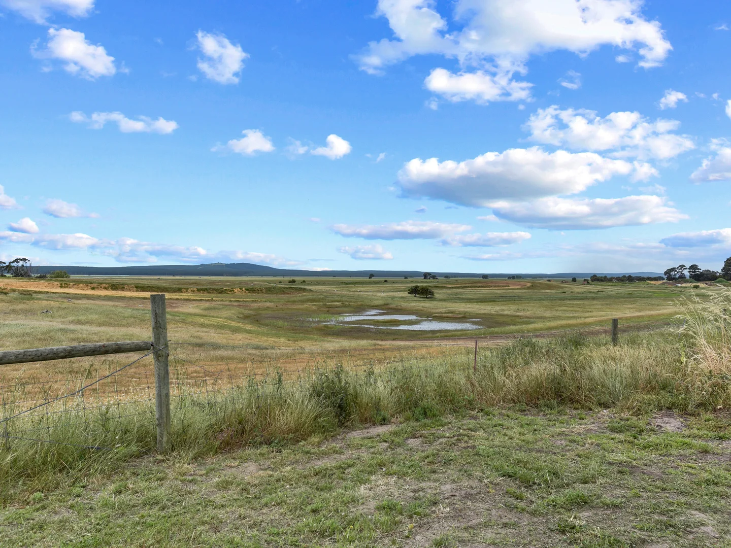 Additional image 14 of 217 Mount Gambier Road, Millicent SA 5280