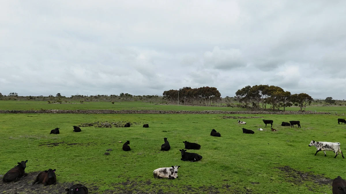 Additional image 3 of 205 South Cundare Road, Beeac VIC 3251