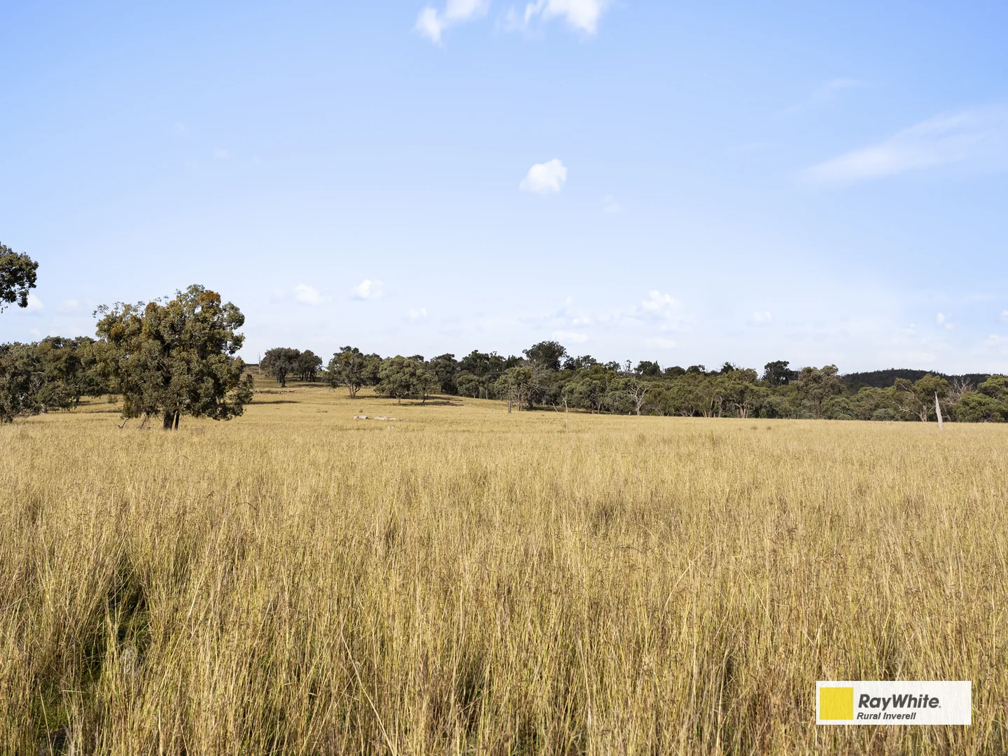 Additional image 50 of 2720 Bingara Road, Bundarra NSW 2359