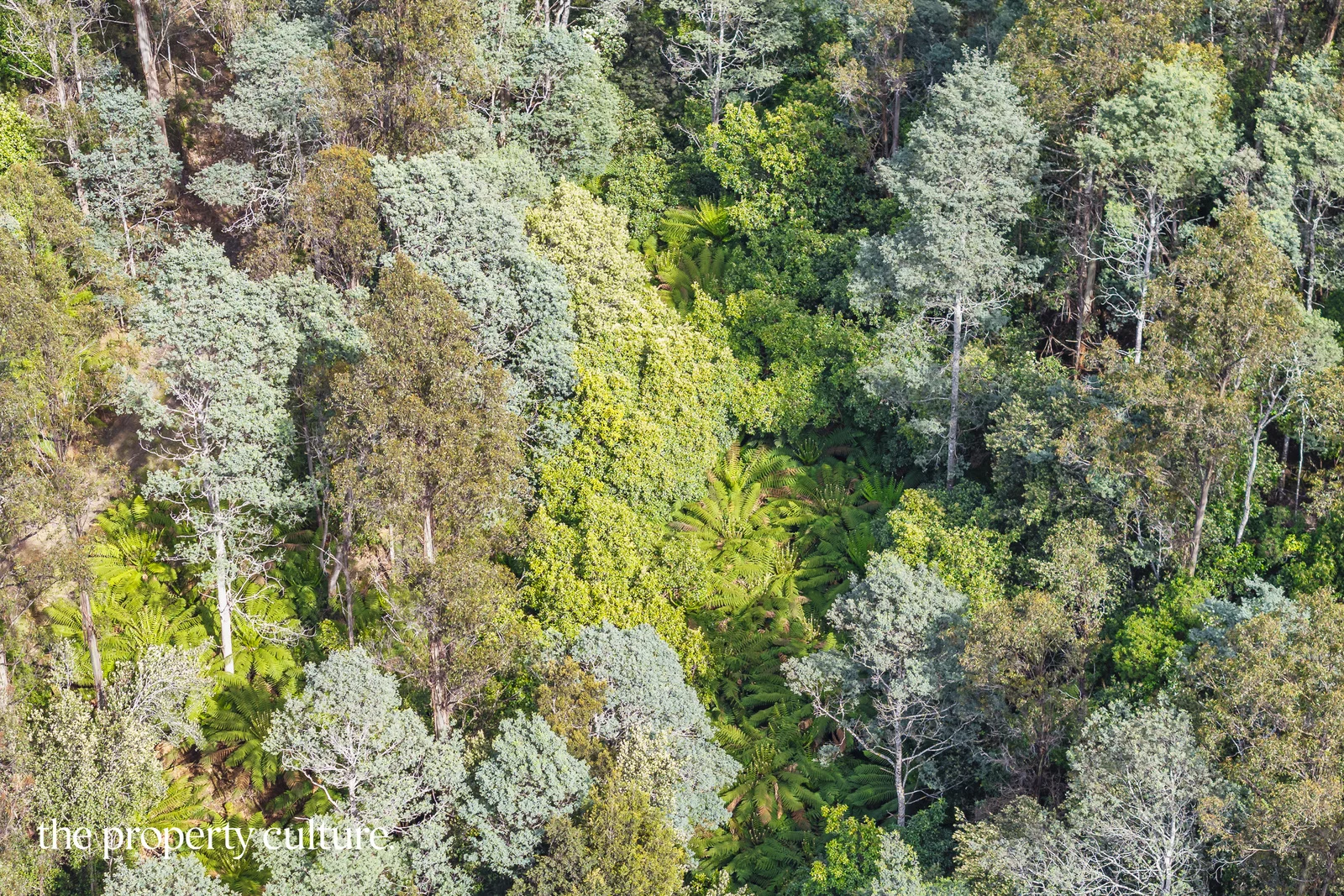 Additional image 12 of 1, 2 & 3 Bakers Creek Rd, Lucaston TAS 7109