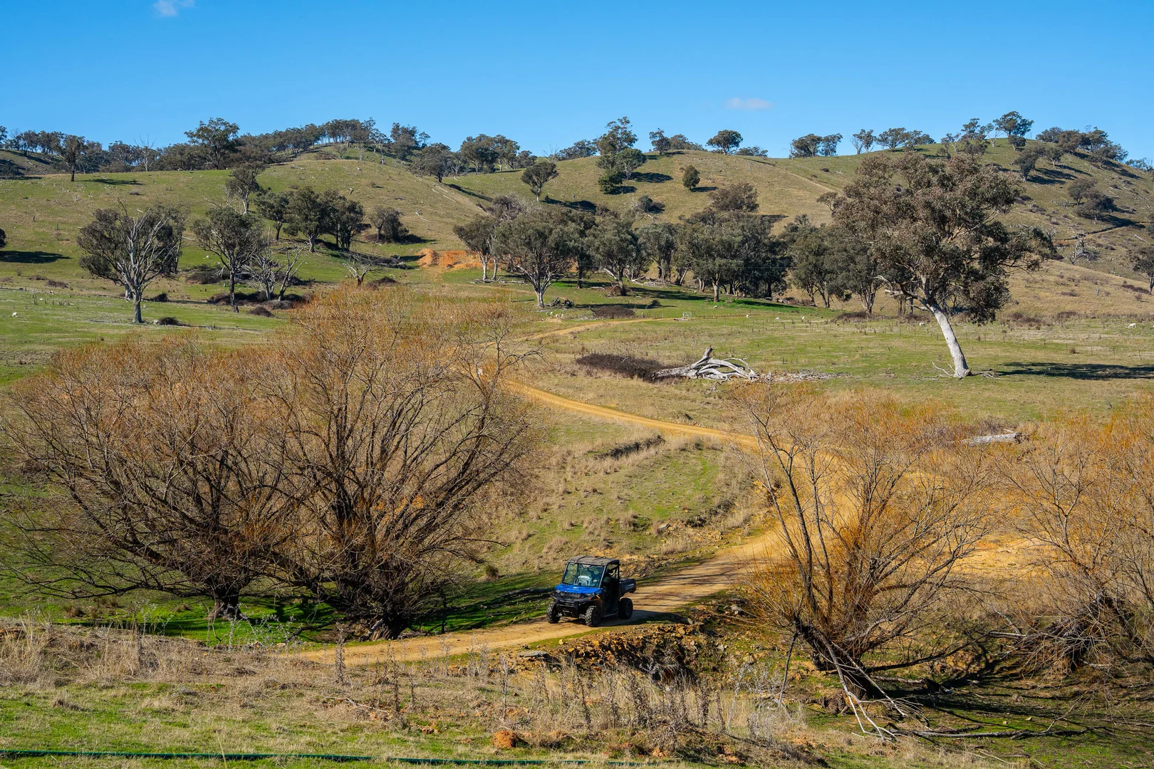 Additional image 19 of 334 Lucky Swamp Road, Crooked Corner NSW 2583