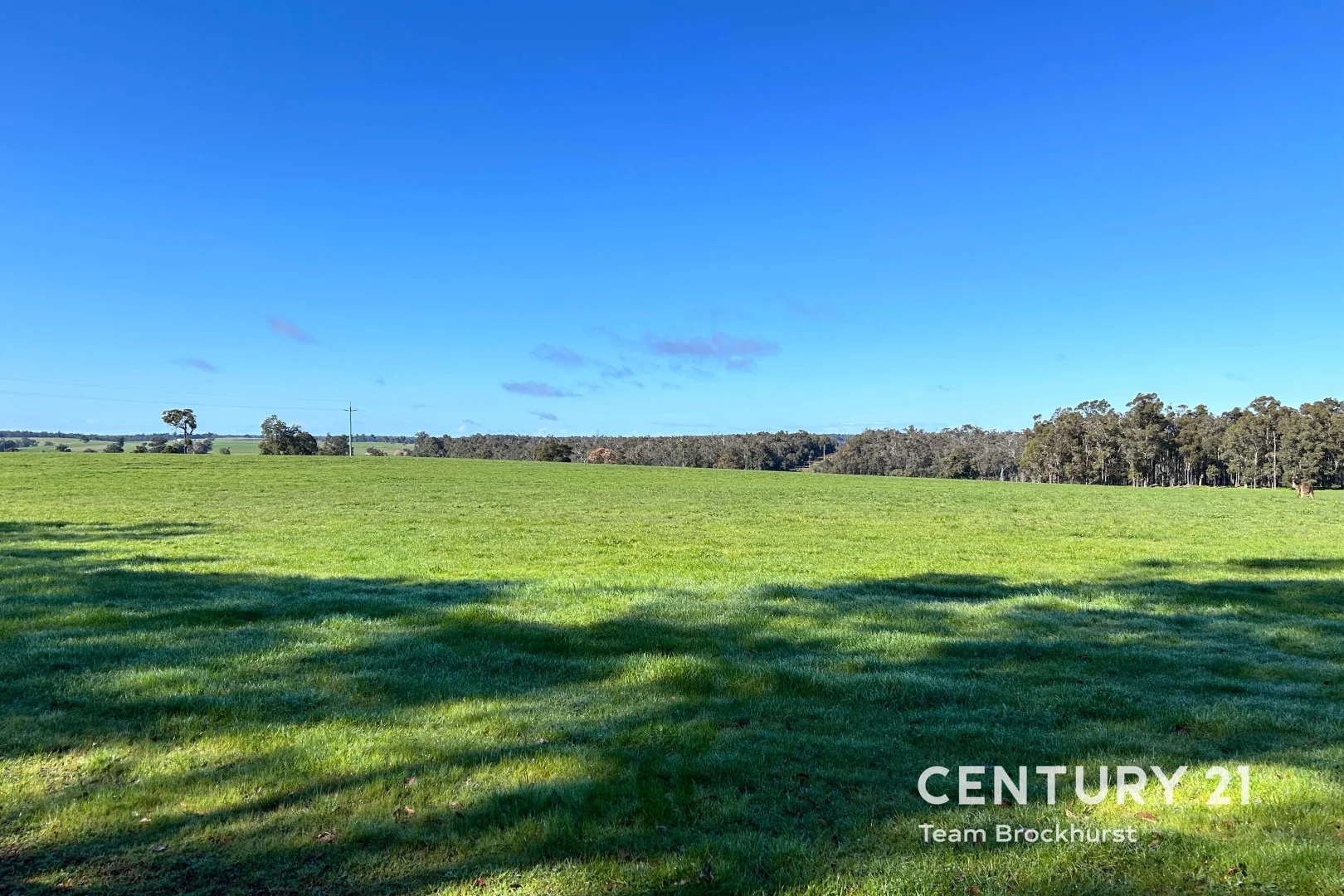 Additional image 14 of 2281 Balbarrup Road, Palgarup WA 6258