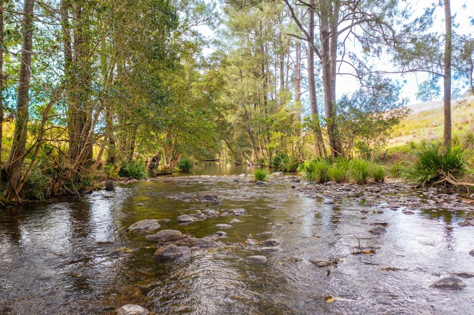 Additional image 12 of Lot 24 209 Tobins River Road, Mount Seaview NSW 2446
