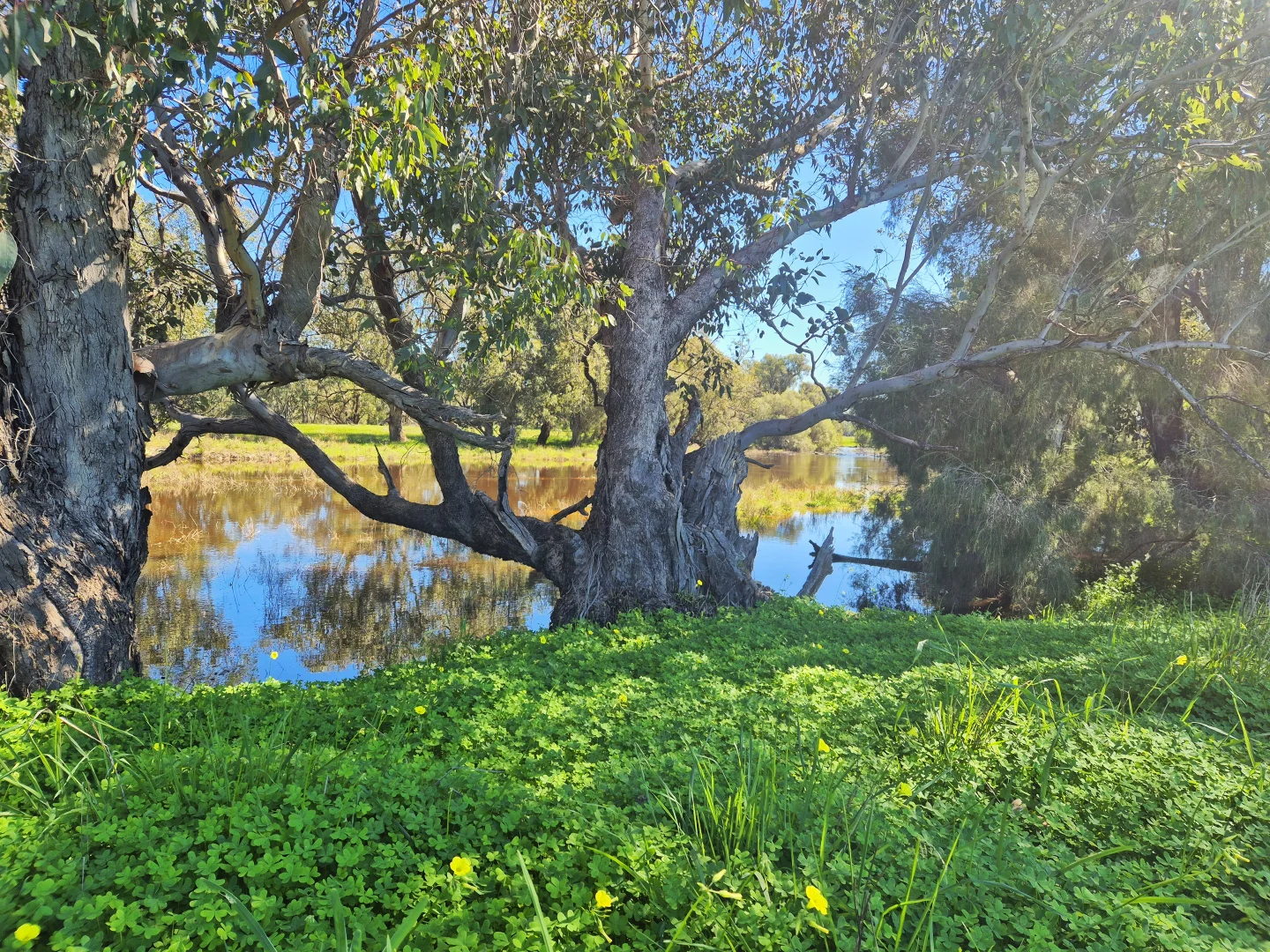 Additional image 15 of 190 Flourmill Cove, Cowalla WA 6503