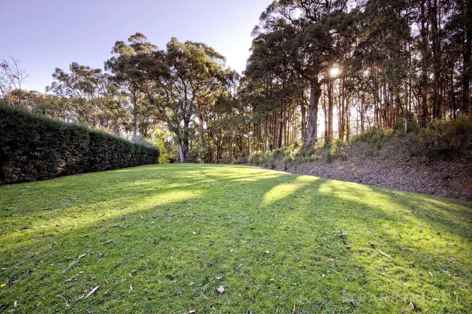 Additional image 6 of 3 Ladd Square, Emerald VIC 3782