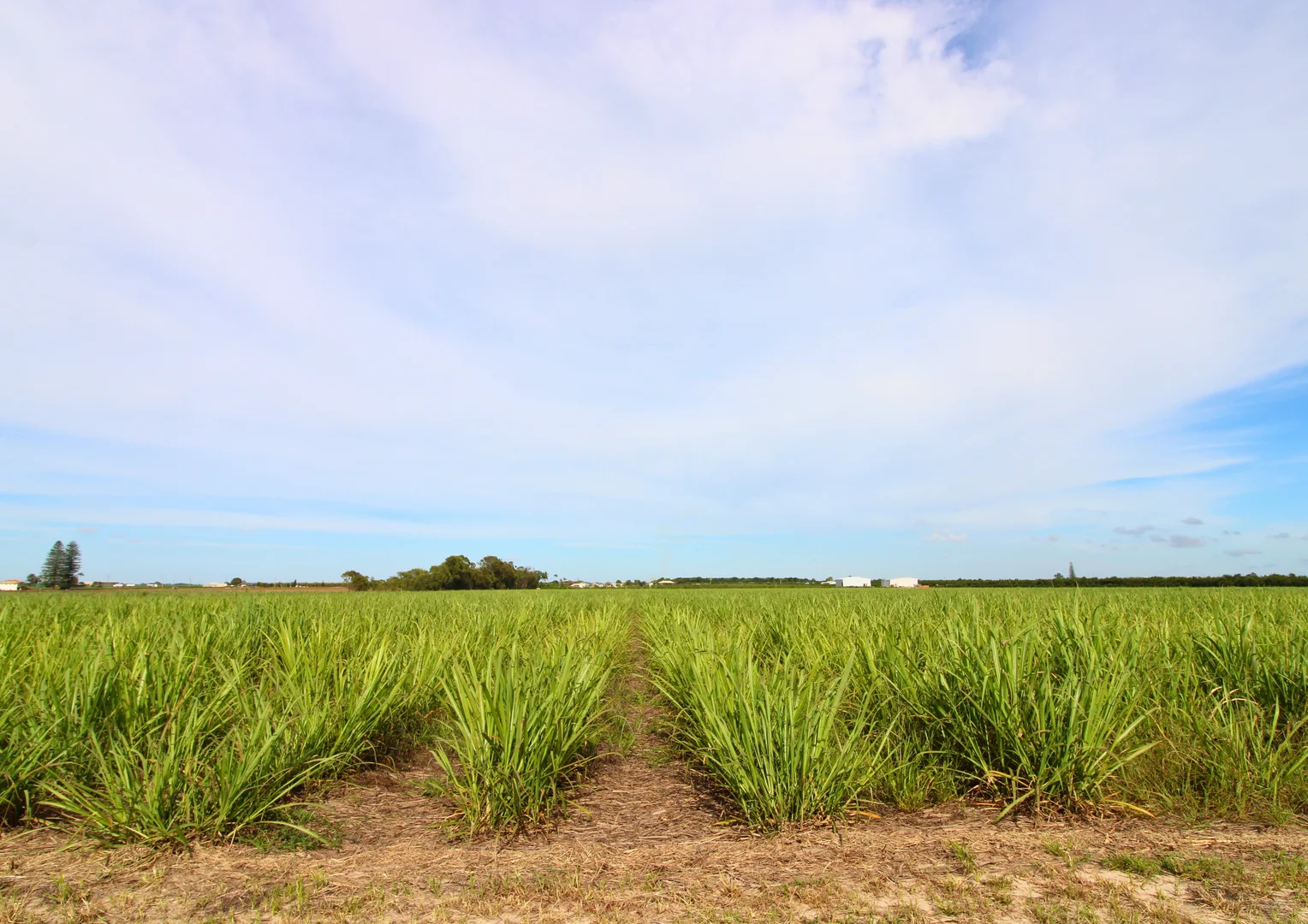 Additional image 3 of Lot 2 Barazzas Road, Alloway QLD 4670