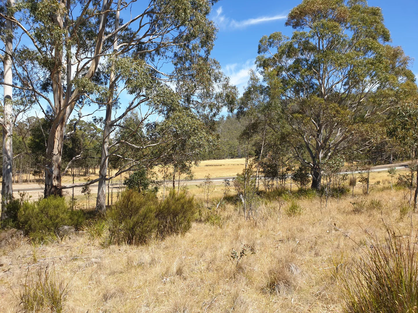 Additional image 6 of Lot 4 Lowes Road, Garden Island Creek TAS 7112