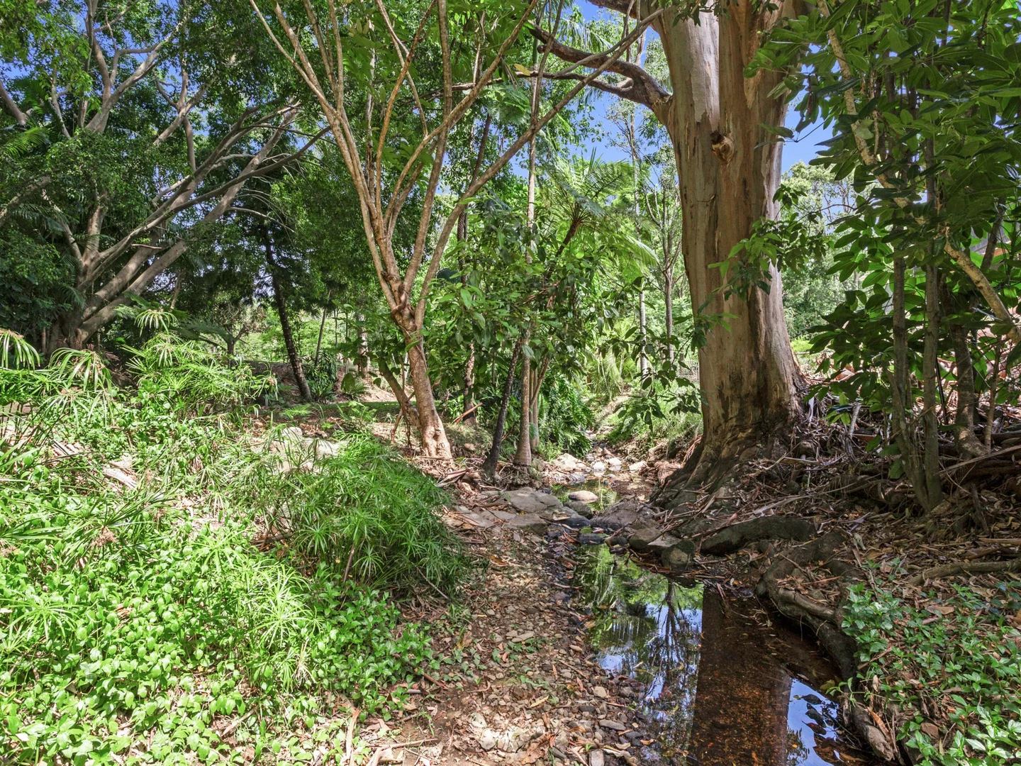 Additional image 35 of 47 Veronica Drive, Tallai QLD 4213