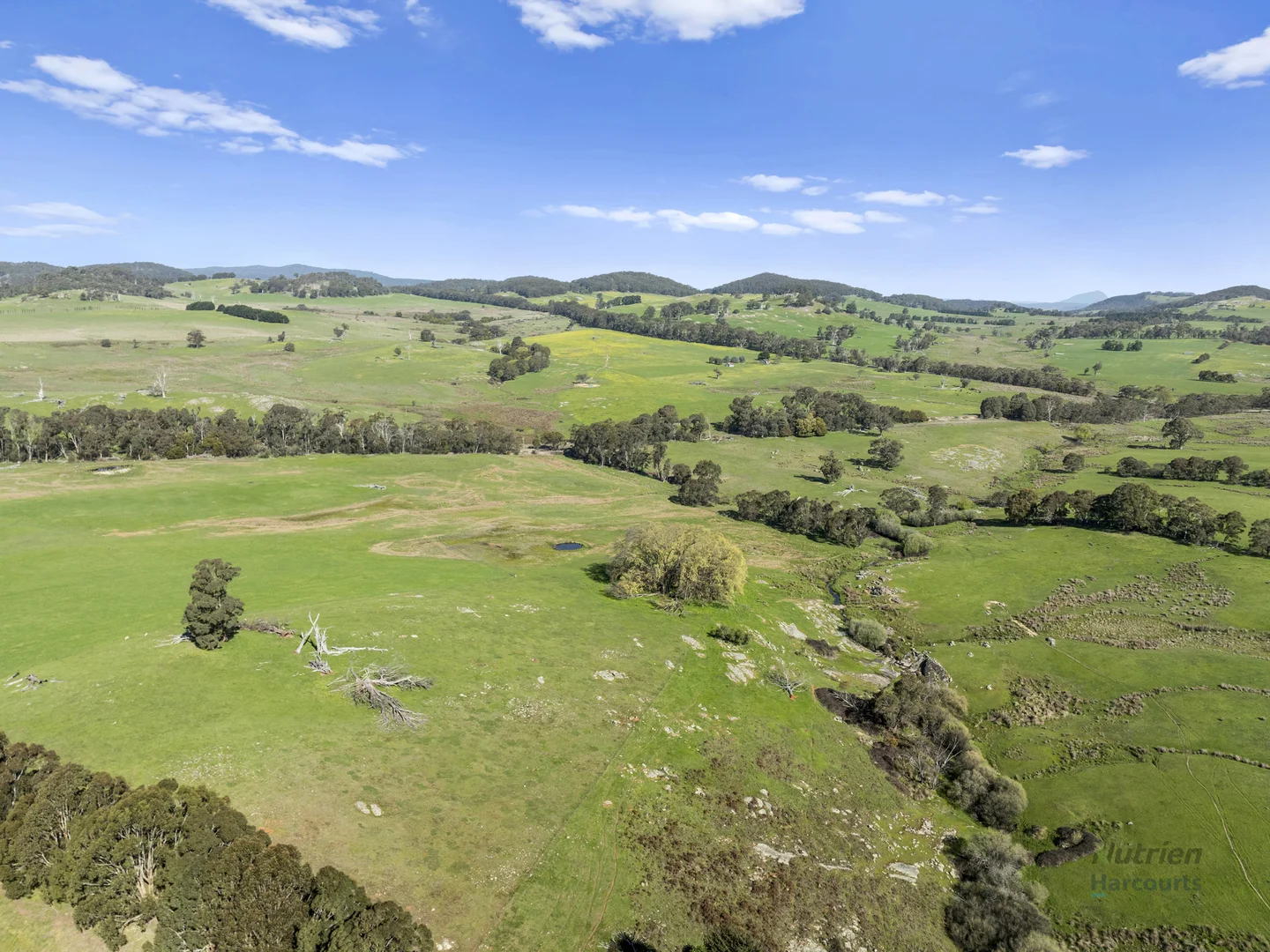 Additional image 16 of 99 Tames Road, Strathbogie VIC 3666