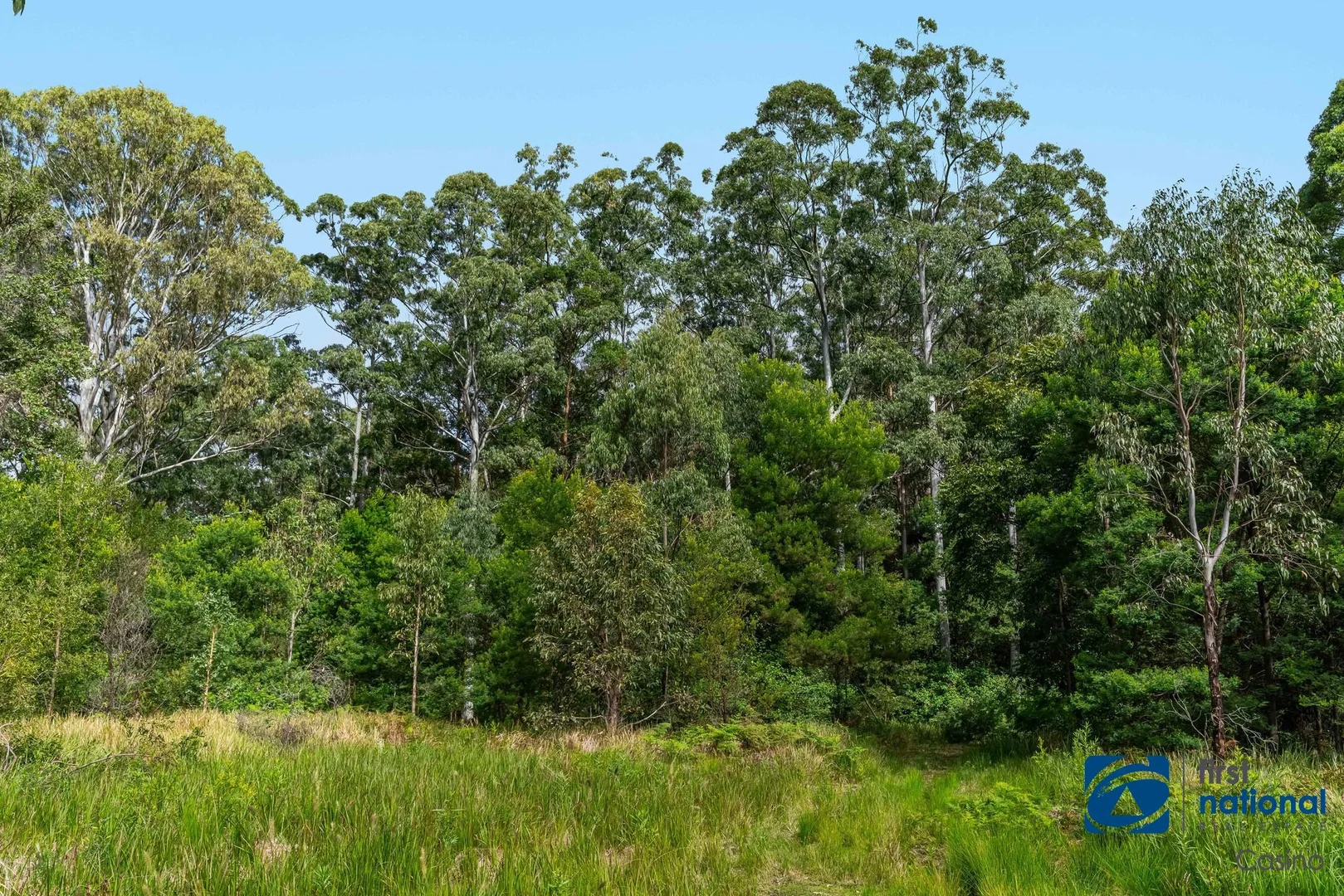 Additional image 31 of 1212 Beaury Creek Road, Urbenville NSW 2475