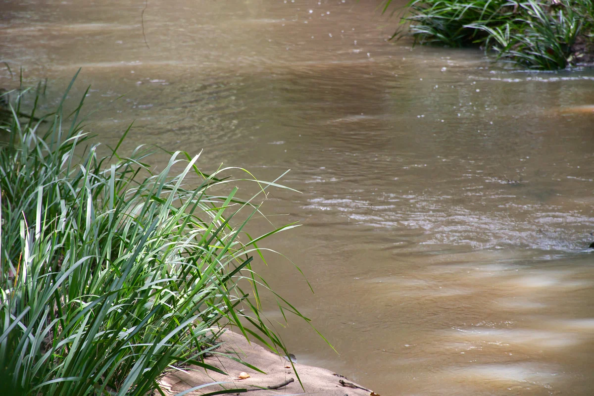 Additional image 28 of 15675 Clarence Way, Bean Creek NSW 2469