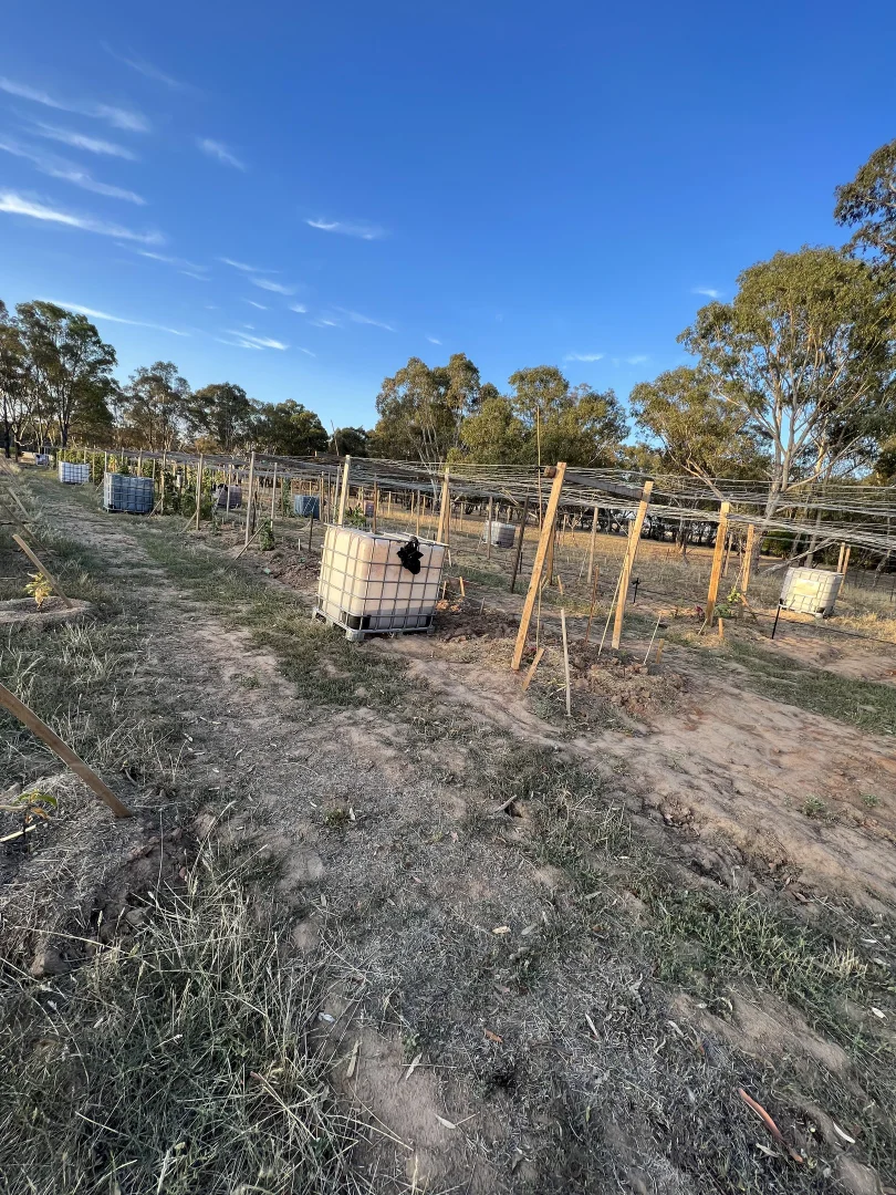 Additional image 10 of Lot CA A15/3383 Avoca-Bealiba Road, Bealiba VIC 3475