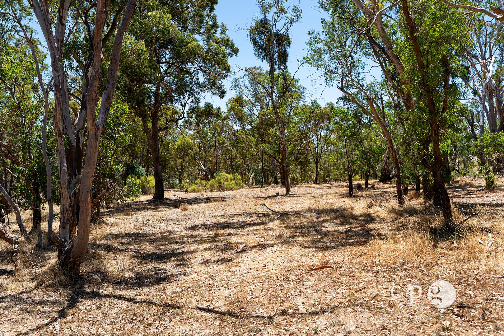 Additional image 15 of 256 Blackjack Road, Harcourt VIC 3453