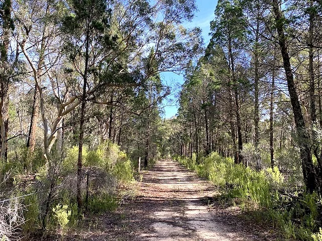 Additional image 9 of 150 Reedy Creek Road, Rylstone NSW 2849