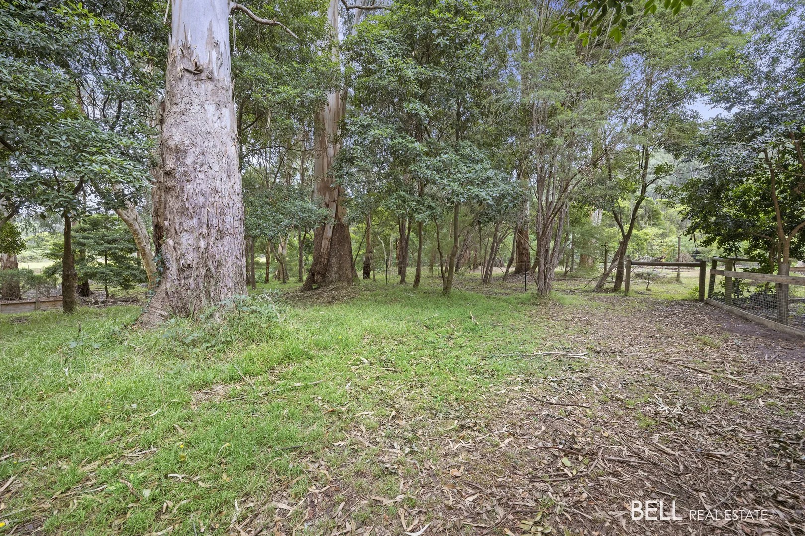 Additional image 4 of 3 River Road, Millgrove VIC 3799