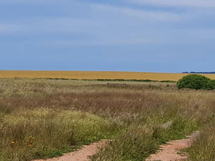 Additional image 3 of Tumby Bay SA 5605