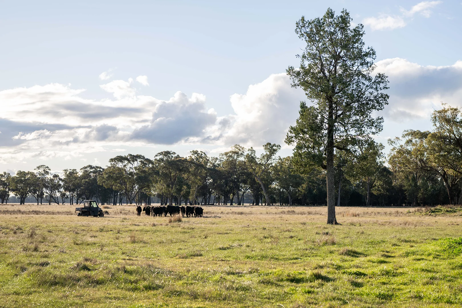 Additional image 39 of 1843 Yeo Yeo Hampstead Road, Young NSW 2594